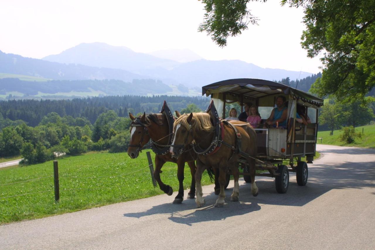 Urheim Rose * Oy-Mittelberg